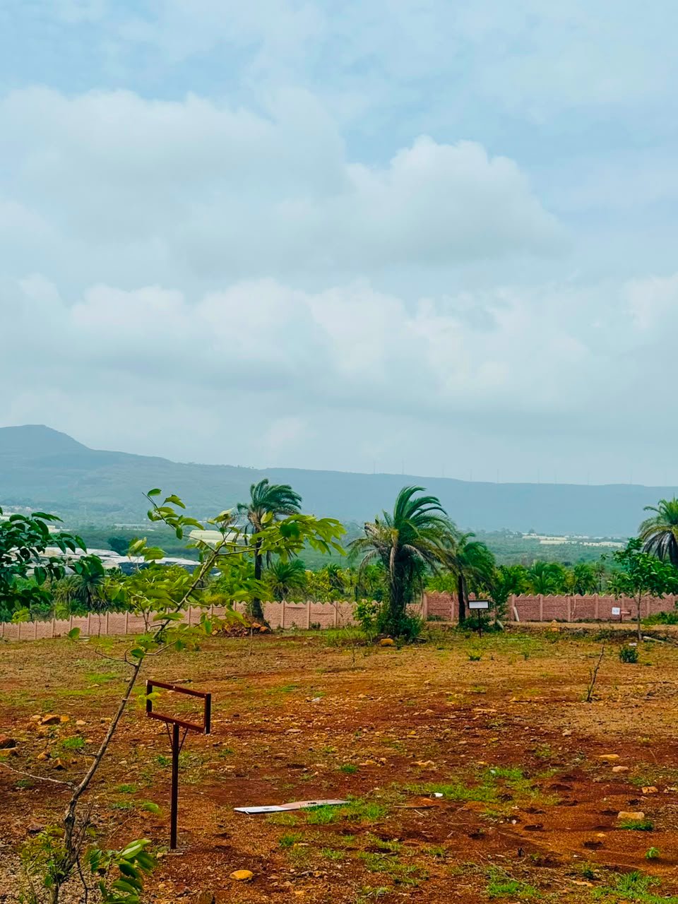 Scenic Hill Views