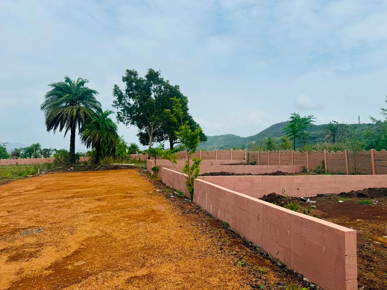 Codename Prakriti plot layout